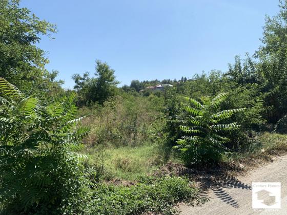 Image No.21-3 Bed House for sale