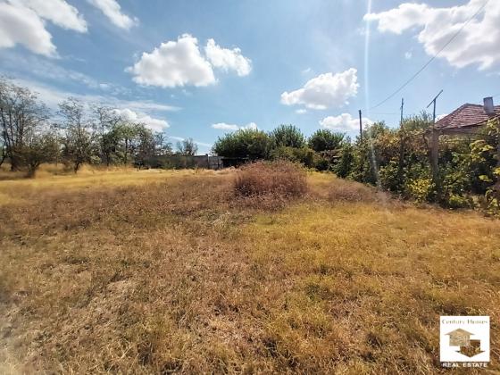 Image No.19-3 Bed House for sale