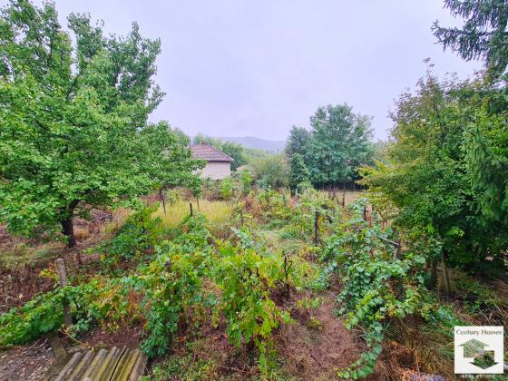 Image No.20-3 Bed House for sale