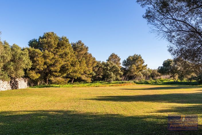 Image No.37-12 Bed Villa for sale