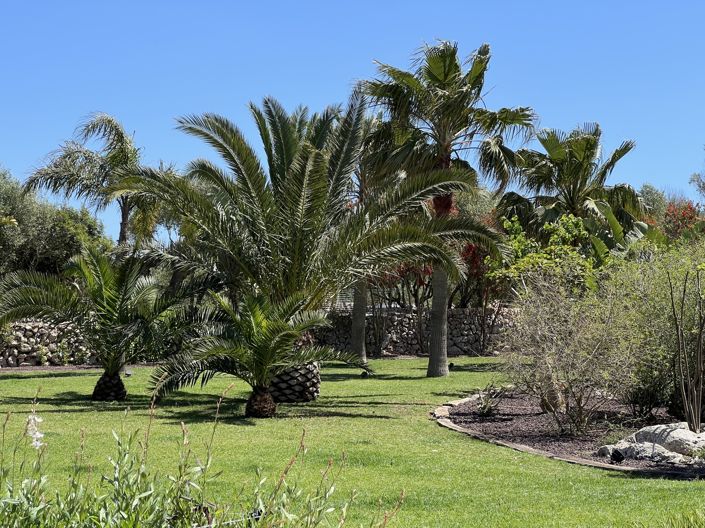 Image No.38-4 Bed Villa for sale