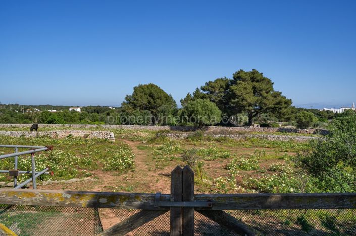 Image No.42-5 Bed Villa for sale