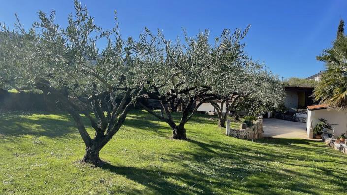 Image No.11-4 Bed Apartment for sale