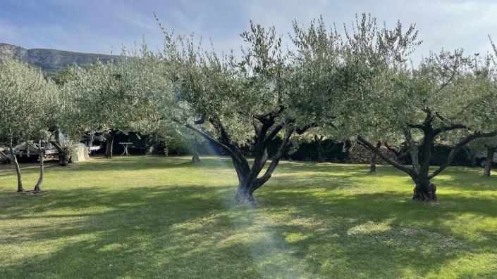 Image No.13-4 Bed Apartment for sale