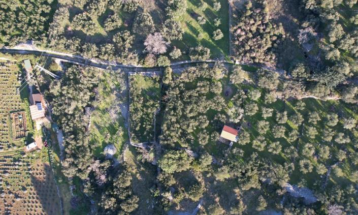 Image No.2-Vineyard for sale