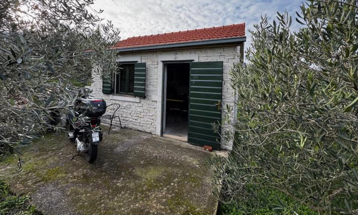 Image No.4-Vineyard for sale