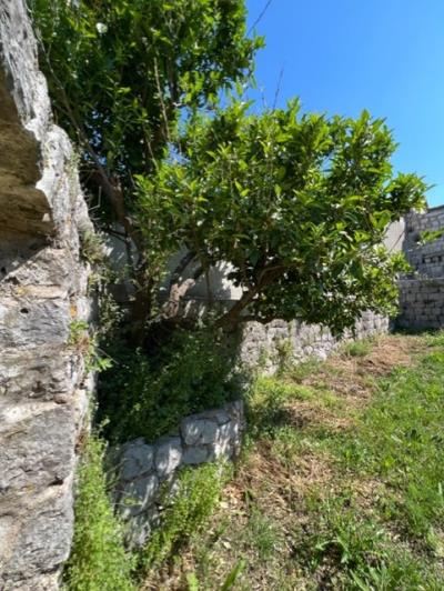 Image No.4-House for sale