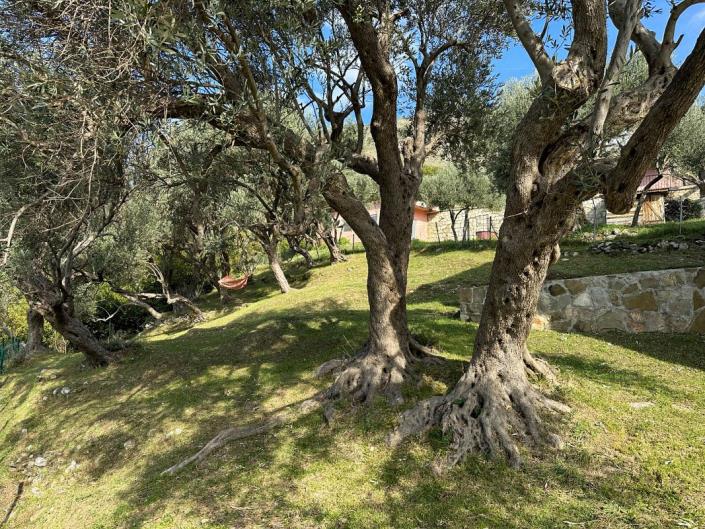 Image No.5-4 Bed Villa for sale