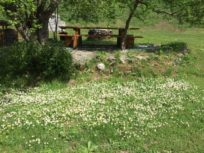 Image No.24-8 Bed Country House for sale