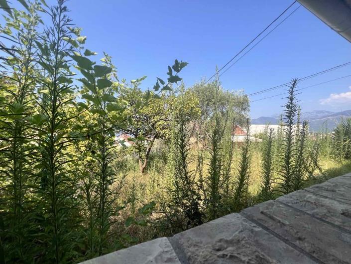 Image No.20-2 Bed House for sale