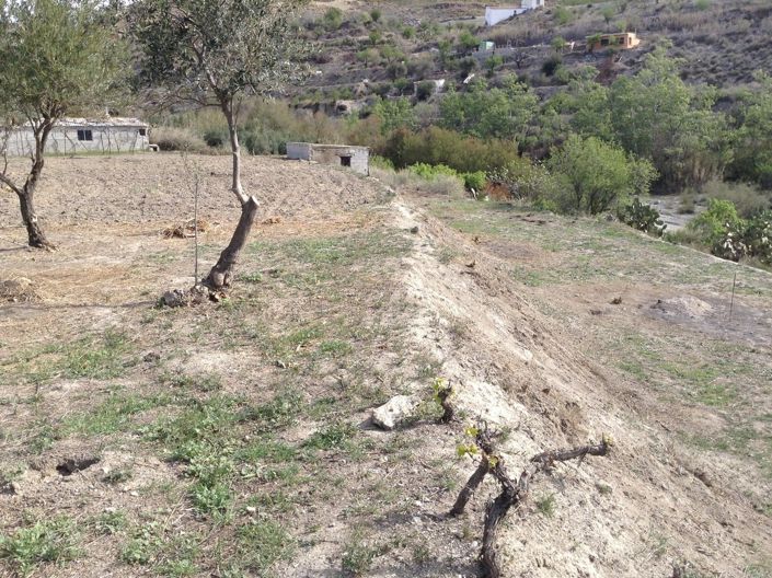 Image No.7-Land for sale