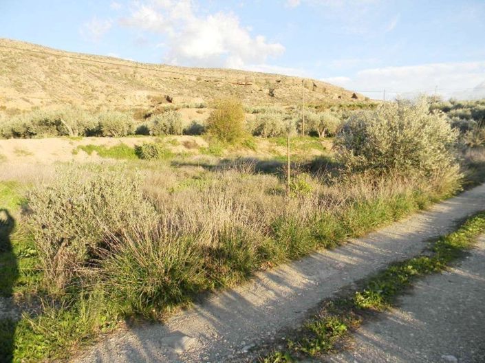 Image No.7-Land for sale