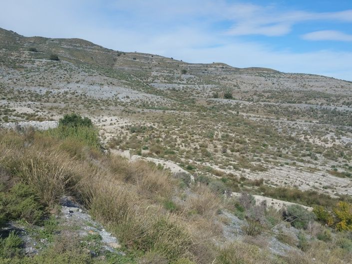 Image No.1-Land for sale