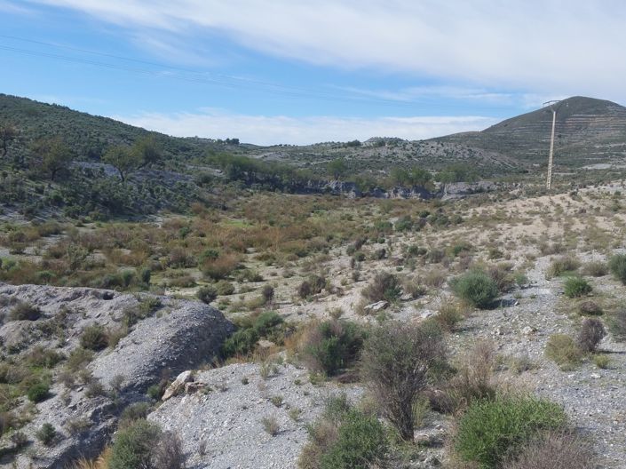 Image No.4-Land for sale