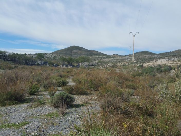Image No.1-Land for sale
