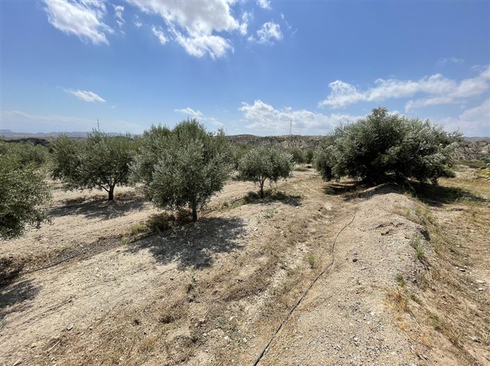 Image No.10-Land for sale