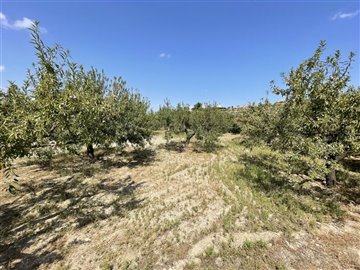 18748-land-for-sale-in-huercal-overa-499244-x