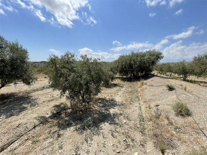 Image No.13-Land for sale