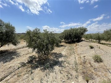 18748-land-for-sale-in-huercal-overa-499247-x