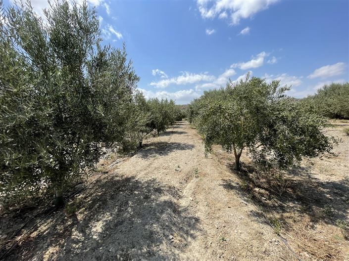 Image No.17-Land for sale