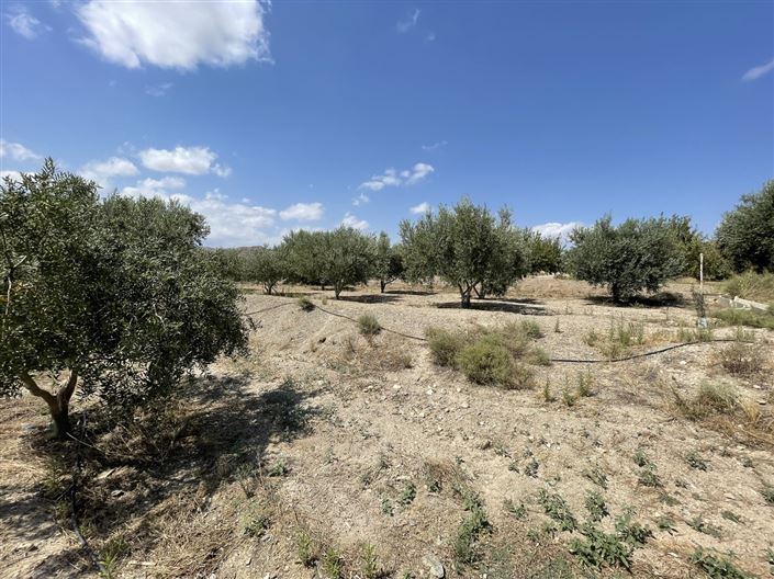 Image No.18-Land for sale