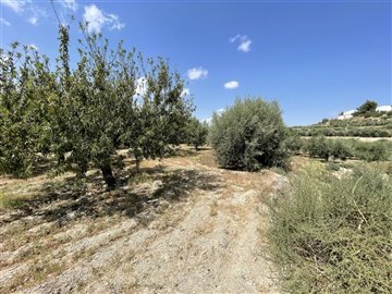 18748-land-for-sale-in-huercal-overa-499242-x