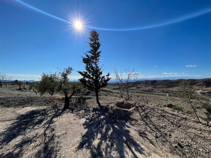 Image No.11-Land for sale