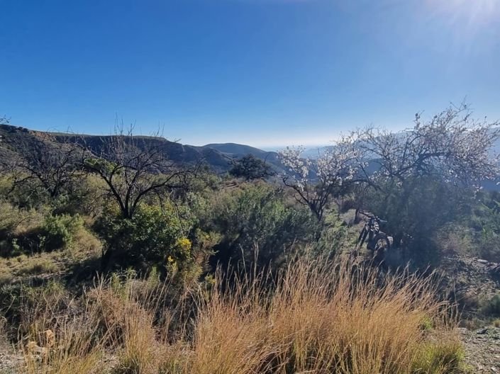 Image No.7-Land for sale