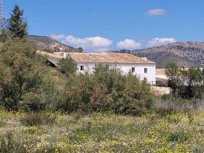 Image No.30-7 Bed Property for sale