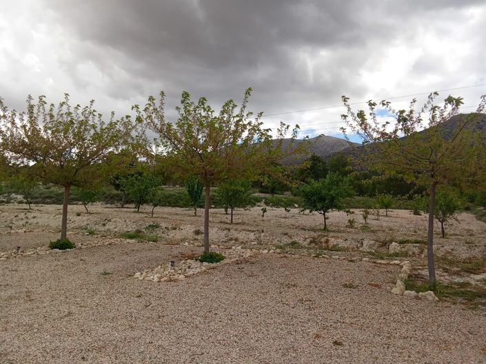 Image No.29-6 Bed Property for sale