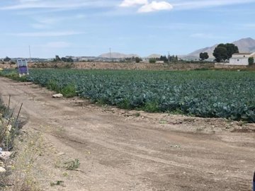 21983-land-for-sale-in-huercal-overa-790534-x