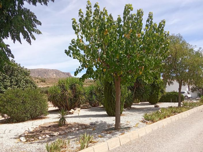 Image No.25-3 Bed Villa for sale