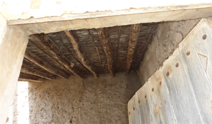 Image No.22-Finca for sale