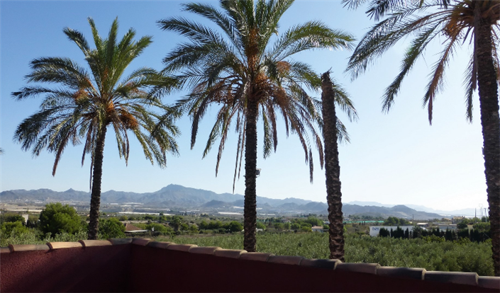 Image No.5-5 Bed Finca for sale