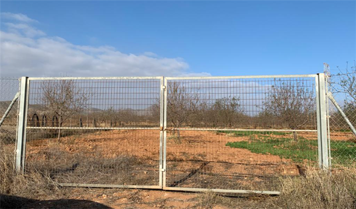 Image No.2-Finca for sale