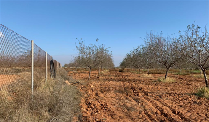 Image No.6-Finca for sale