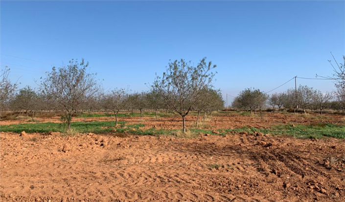 Image No.10-Finca for sale