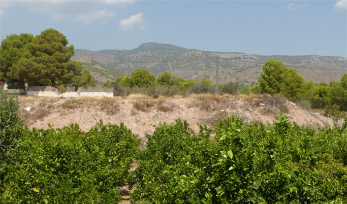 Image No.5-3 Bed Finca for sale