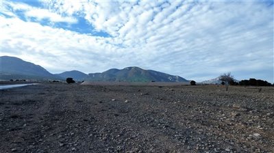 gallary-2022-05-17-62835881d67e3