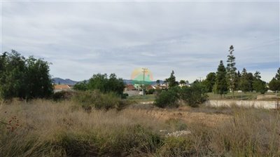 gallary-2022-11-21-637b9cecba3e3