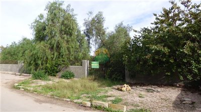 gallary-2022-11-21-637b9d20ab24d