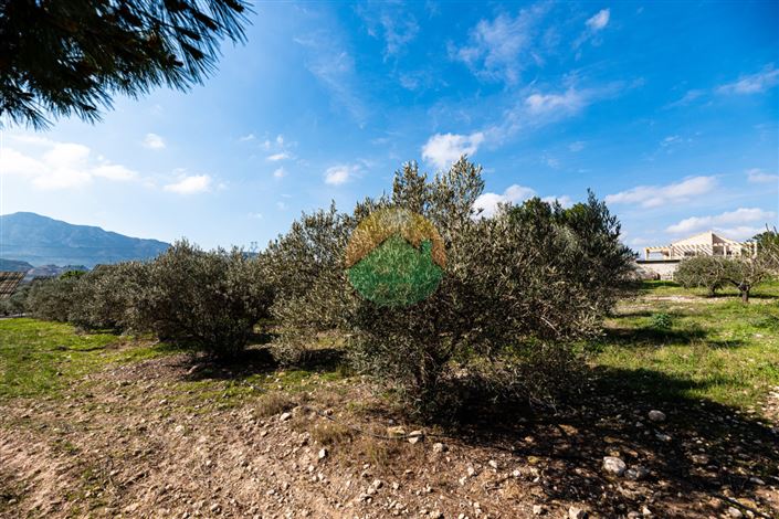 Image No.23-4 Bed Finca for sale