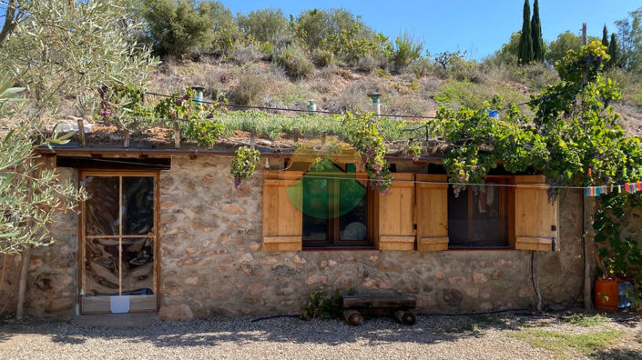 Image No.1-3 Bed Finca for sale