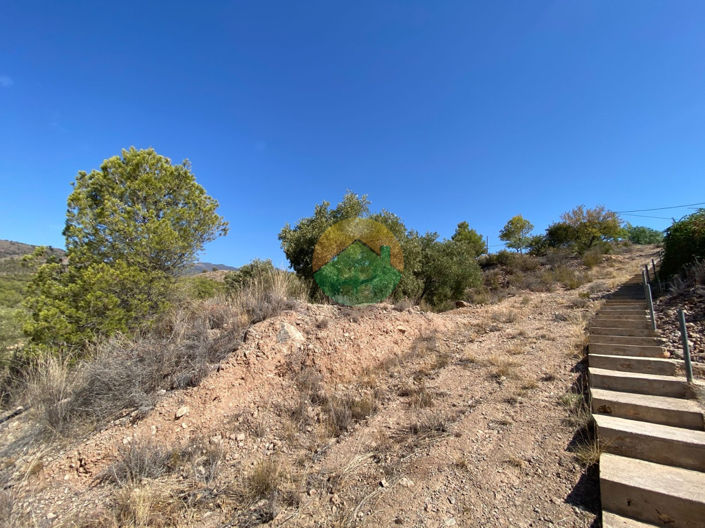 Image No.18-3 Bed Finca for sale