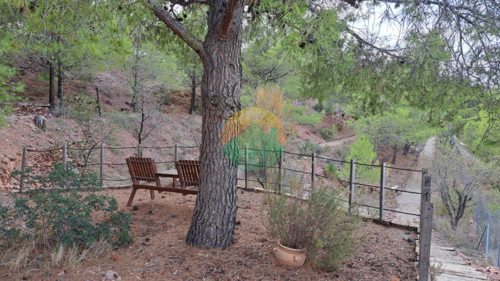 Image No.25-5 Bed House for sale