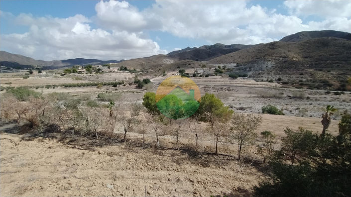 Image No.4-2 Bed Finca for sale