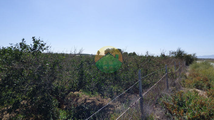 Image No.6-Plot for sale