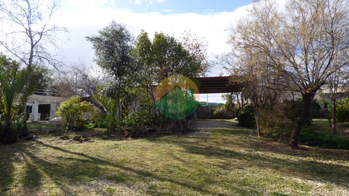 Image No.4-4 Bed Finca for sale