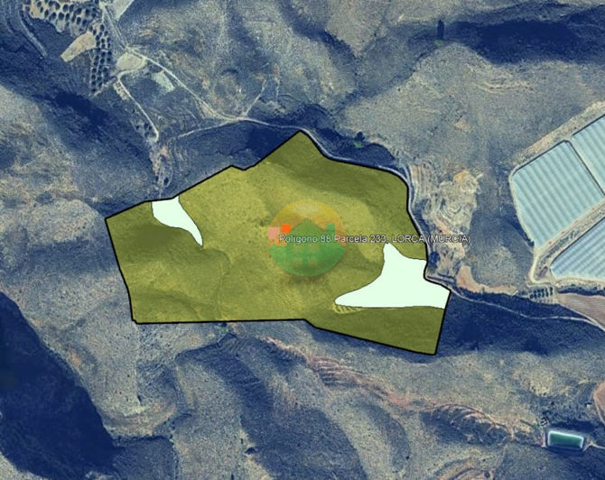 Image No.2-Finca for sale