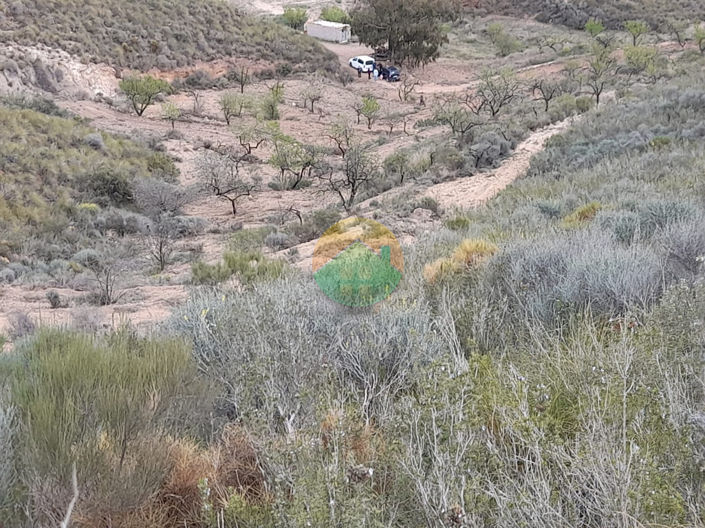 Image No.7-Finca for sale